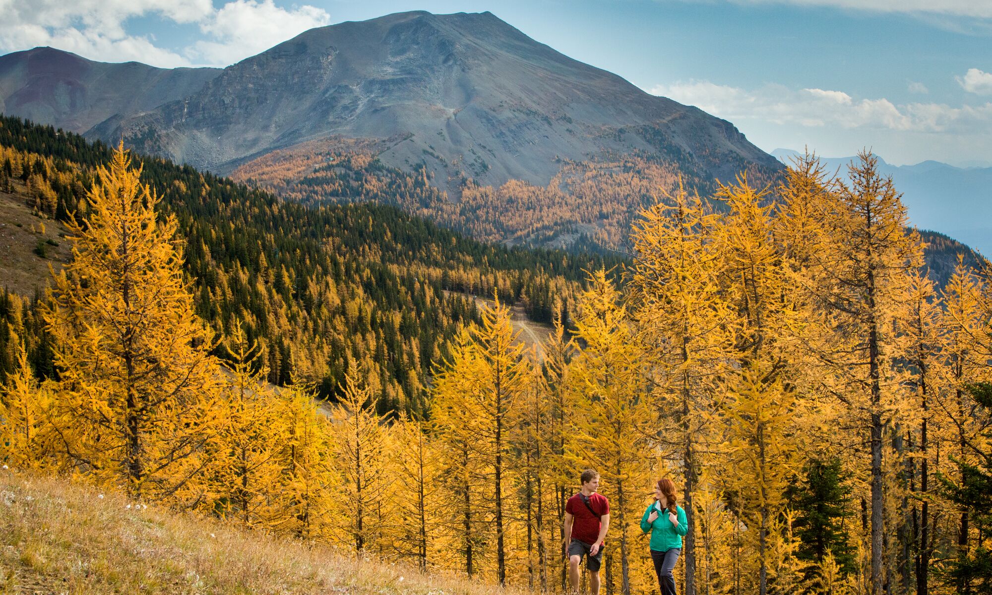 A couple hikes through golden larches in the Lake Louise area in Banff National Park.